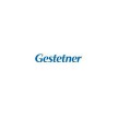 Cartouche Gestetner GC21HYMGT - Magenta