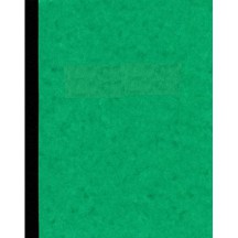 ELVE Piqre comptable, 240 x 320 mm horizontal, 100 pages