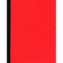 ELVE Piqre comptable, 310 x 210 mm, 5 colonnes par page