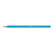 CARAN D'ACHE Crayon de couleur Prismalo, brun