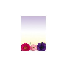 sigel Papier à motif, A4, 90 g/m2, motif 'Spring Flowers'