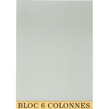 EXACOMPTA Bloc comptable, 297 x 210 mm, 6 colonnes, 70 fls.
