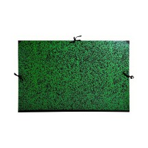 EXACOMPTA Carton  dessin, 370 x 520 mm, carton, vert