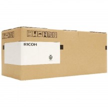 Kit de fusion RICOH 403119 Noir