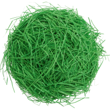 folia Herbe de dcoration/herbe de Pques, 30 g, vert