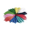 folia Plumes d´indiens, 100 g, couleurs assorties