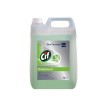 Cif Nettoyant multi-usage Professional, pomme, 5 litres