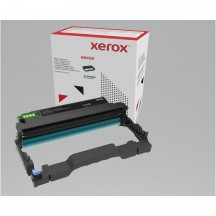 Photoconducteur - Tambour XEROX 013R00691
