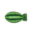 SCHILDKRÖT Ballon d'eau pastèque Splash Ball, vert