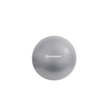SCHILDKRÖT Ballon de gymnastique, diamètre: 650 mm, argent