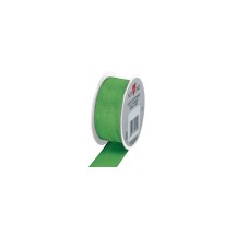 SUSY CARD Ruban cadeau, sur bobine 'Trend', vert clair
