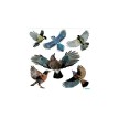 HERMA Etiquette de signalisation 'oiseaux', multicolore