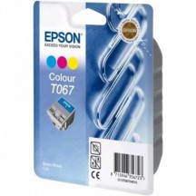 Cartouche EPSON T067 (C13T06704010)