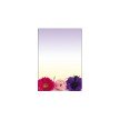 sigel papier design, format A4, 90 g/m2, motif "Rose Bloom"